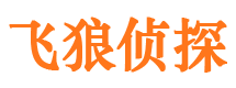 陆河市侦探调查公司